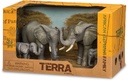 AFRICAN ELEPHANT FAMILY