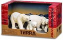 POLAR BEAR FAMILY