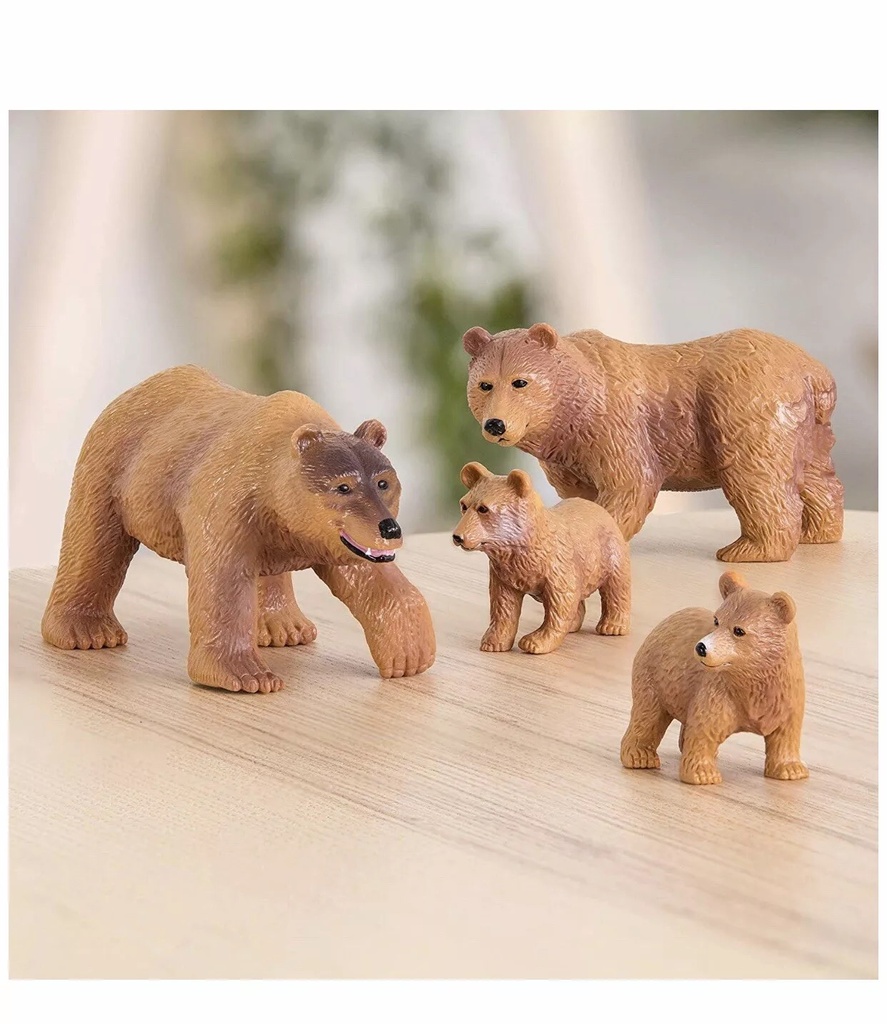 BROWN BEAR FAMILY