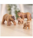 BROWN BEAR FAMILY