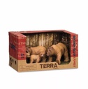 BROWN BEAR FAMILY
