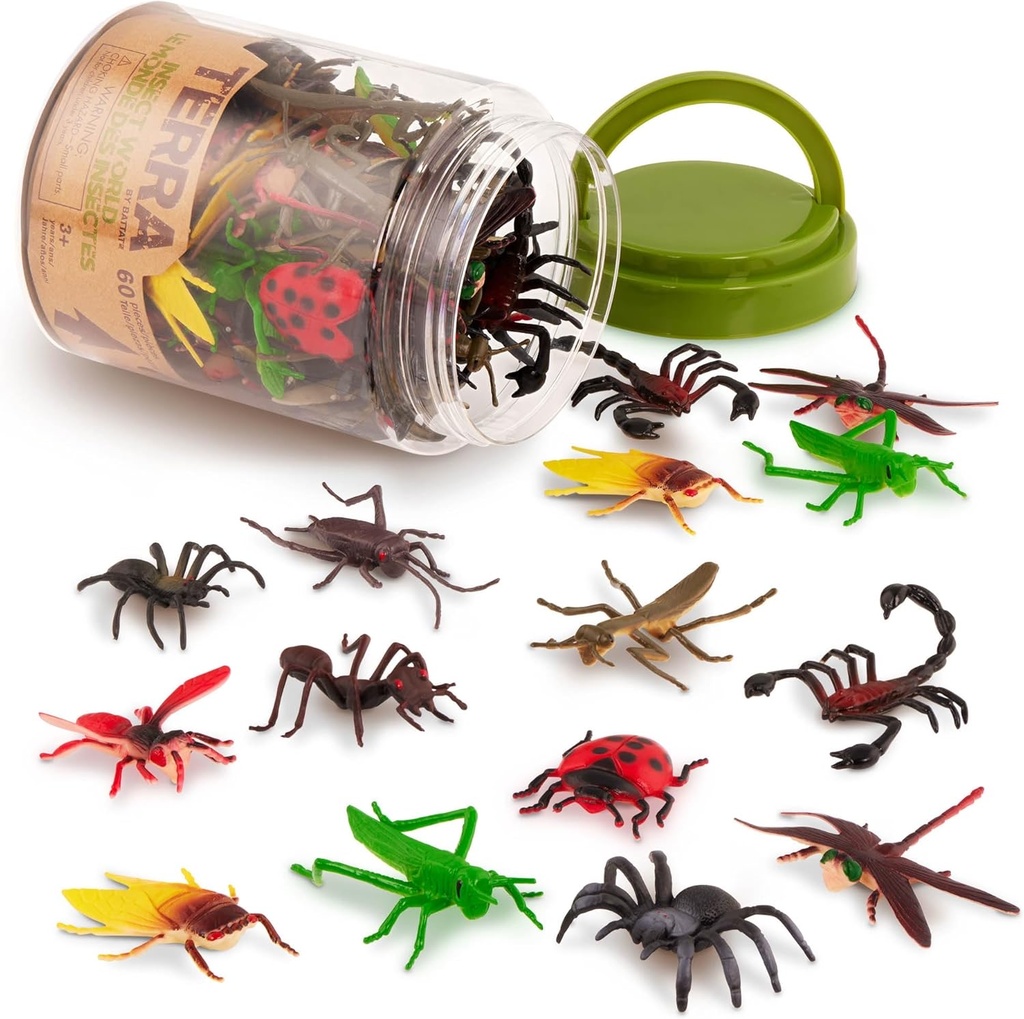 INSECT WORLD