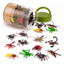 INSECT WORLD