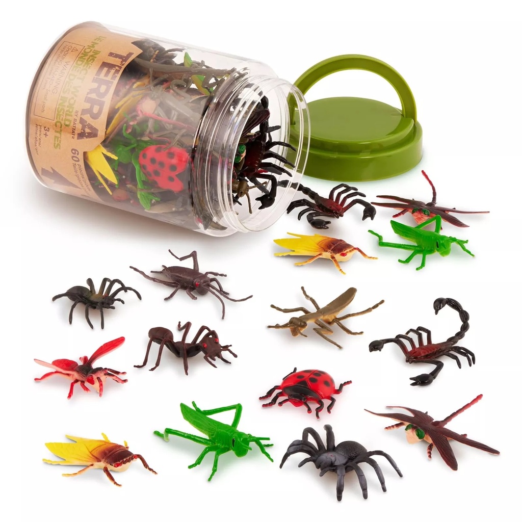 INSECT WORLD