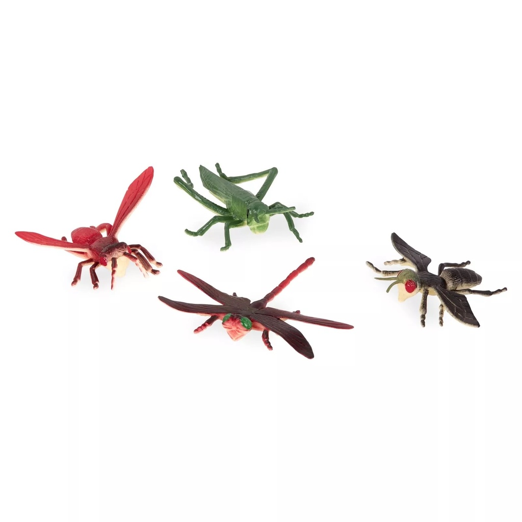 INSECT WORLD