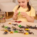 INSECT WORLD