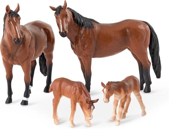 HORSE FAMILY
