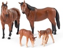 HORSE FAMILY
