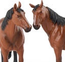 HORSE FAMILY