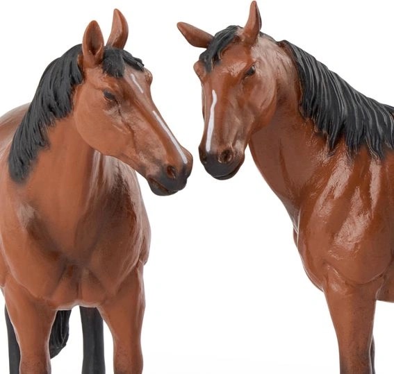 HORSE FAMILY