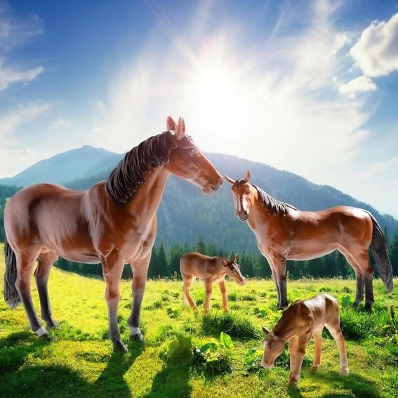 HORSE FAMILY