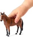 HORSE FAMILY