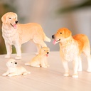 DOG FAMILY