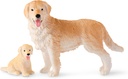 DOG FAMILY