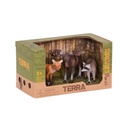 FOREST ANIMALS (FOX, MOOSE & RACCOON)