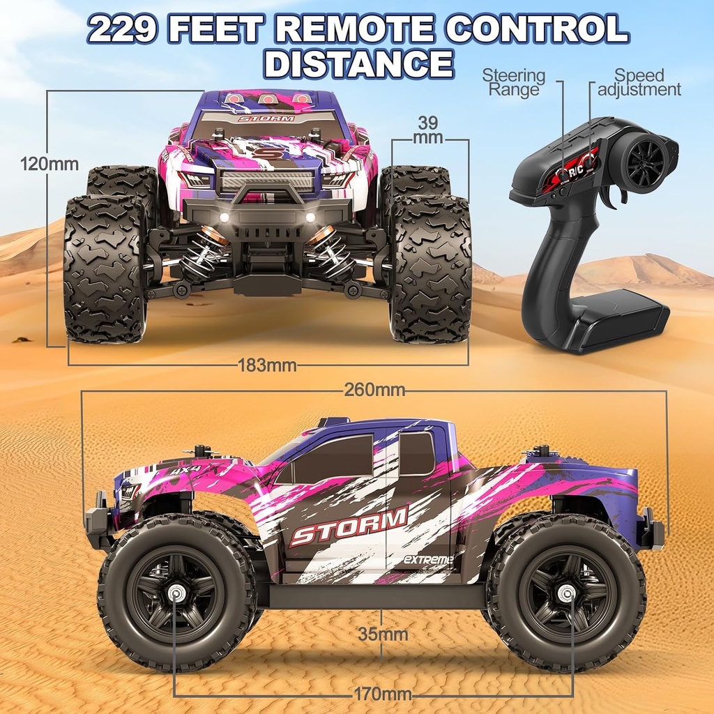 Sam Toys - Black Hole High Speed R/C Car (Purple)