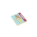 Iconic Enamel Pin Falcon