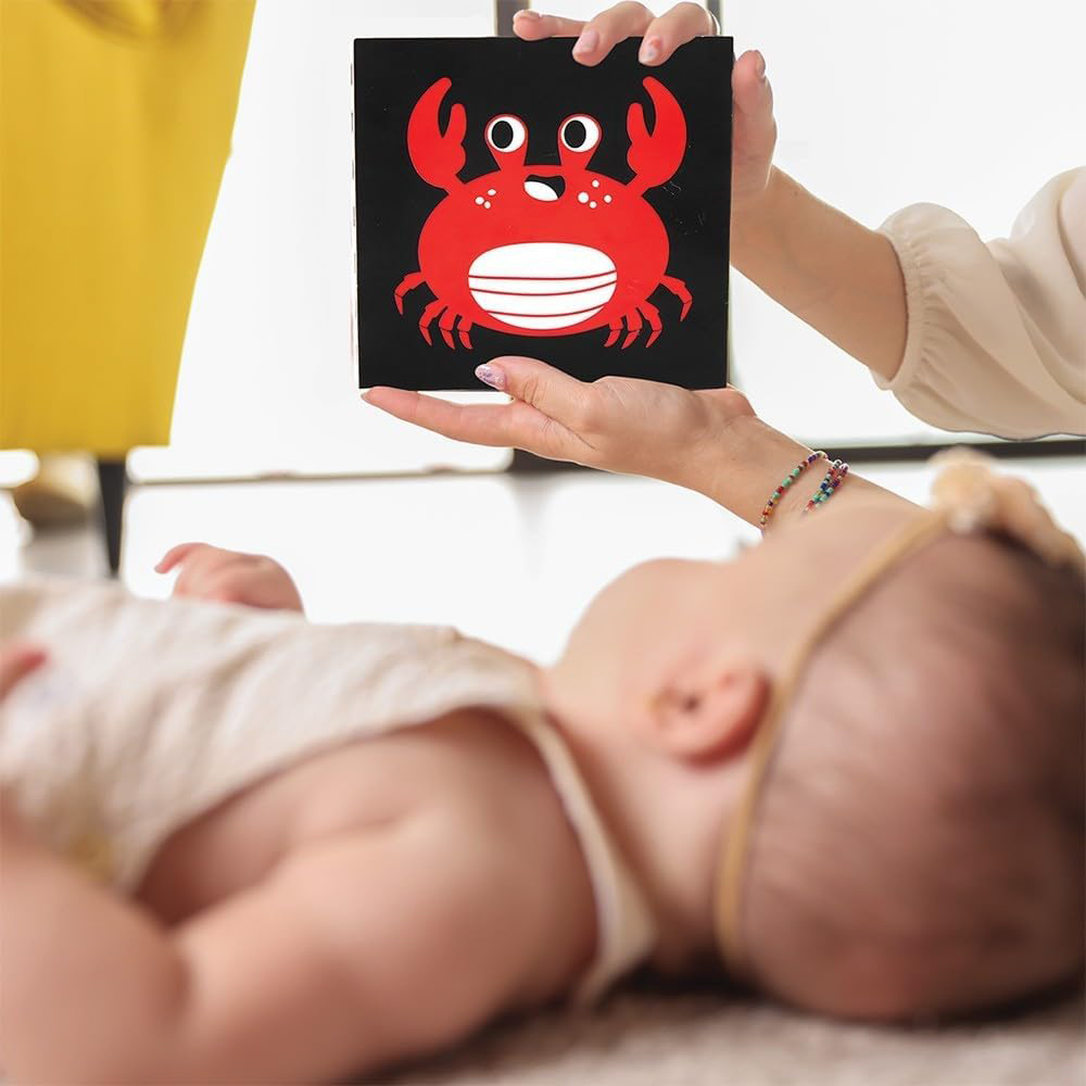 Bimbly Montessori Box: "The awakening of senses" 0-6 (0-6 Months)