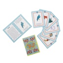 Spot the Animal Card Game