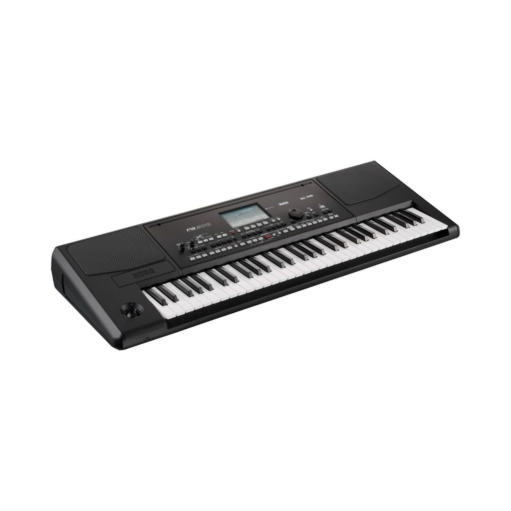 Korg Pa300 61-Key Professional Arranger Keyboard