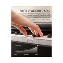 Donner - Ec3010 Ddp-100 Digital Piano Black