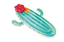 Intex Cactus Float