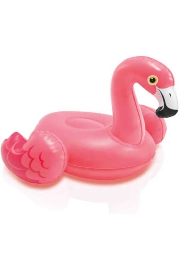 Intex . Puff N Play Water Toys