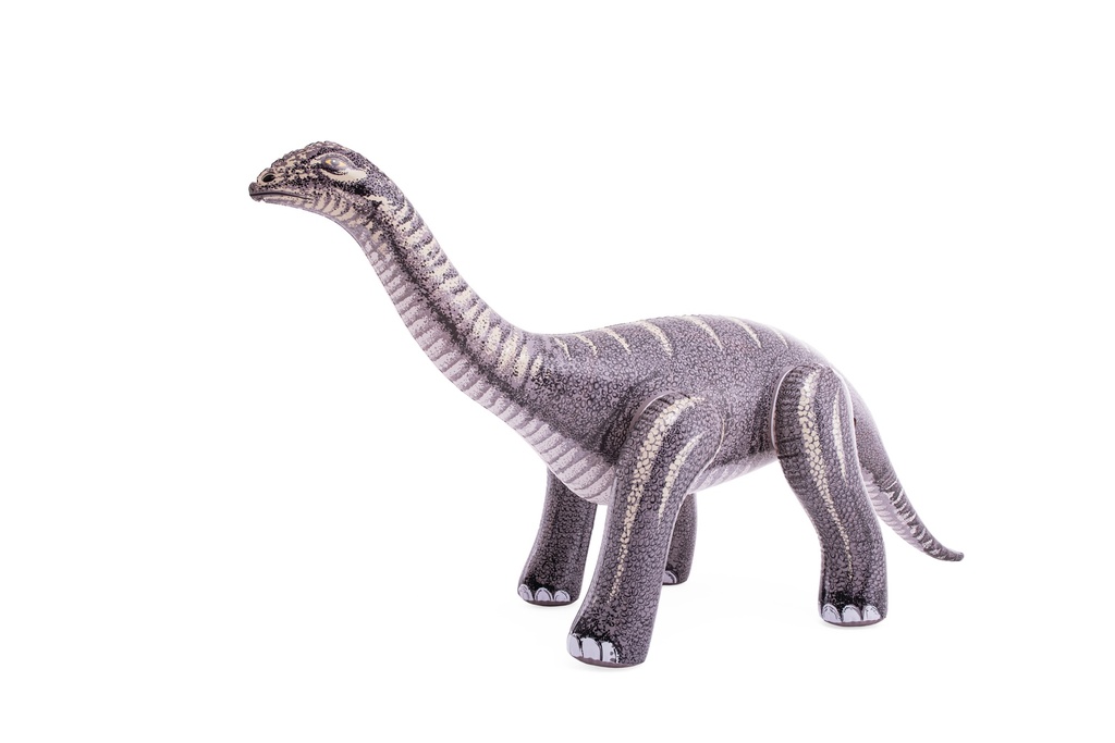 Intex . Jurassic Dino Pals