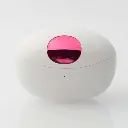 45713032226502.webp