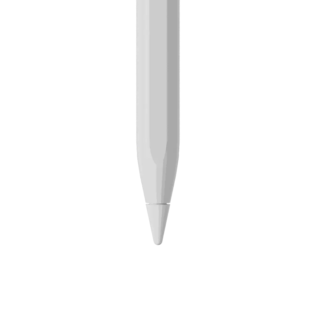 48952411229583.webp