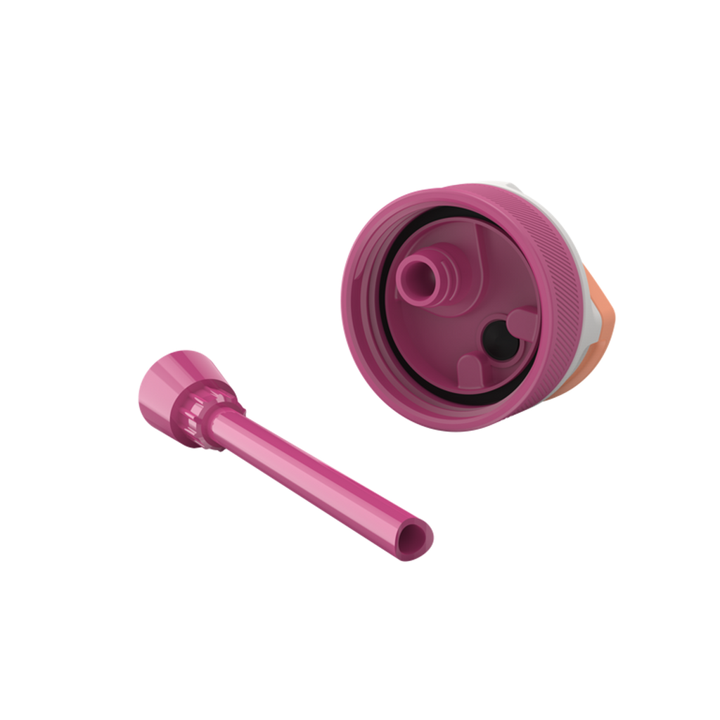 Water Bottle With Straw Lid 400 Ml / 14Oz  Bpa Free     Toekan Love  -  Kambukka Lagoon