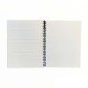 PAINTED WORKBOOK CASH