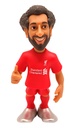Salah - Liverpool