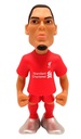 Van Dijk - Liverpool