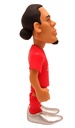 Van Dijk - Liverpool