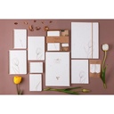Tulip Paper, Stationery Kit