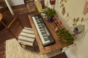 Casio Lk-S250C2 Lighting Key Board