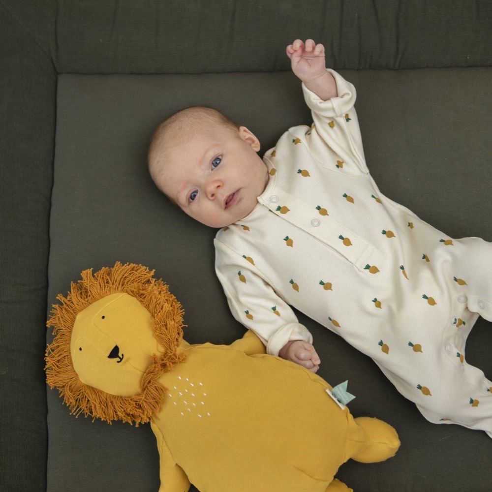 Plush Toy Small - Mr. Lion (head to toe 26cm) Pure Organic Cotton