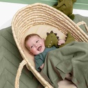 Plush Toy Small - Mr. Dino Pure Organic Cotton