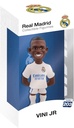 Vinicius - Real Madrid