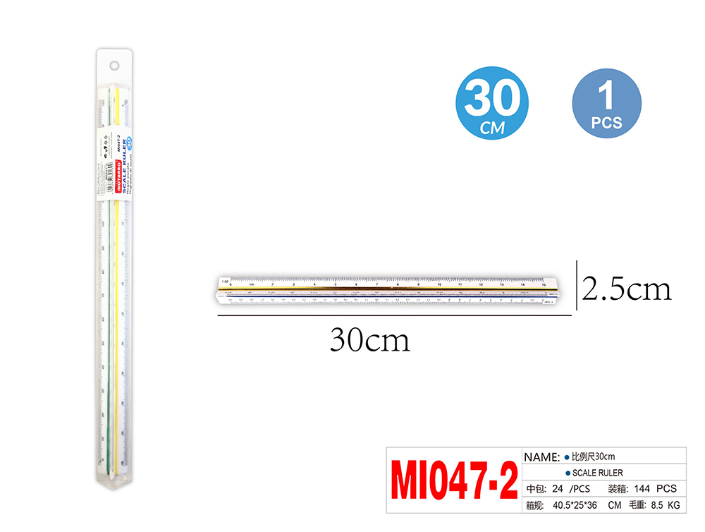 Scale Ruler 30cm