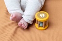 Wooden Rolling Rattle - Mr. Lion
