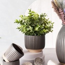 Grooved Planter Large Black