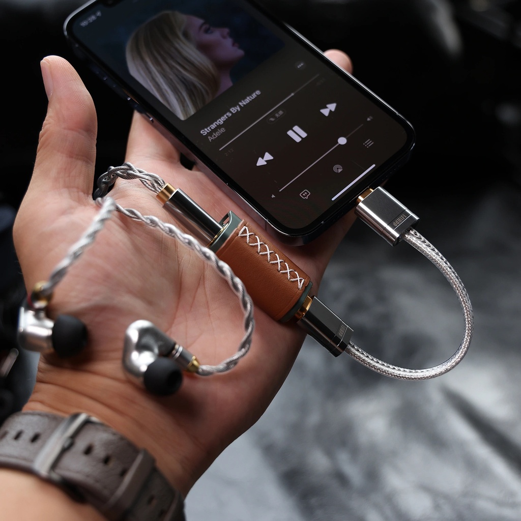  Ddhifi Mfi09S 10Cm Lightning To Type-C Otg 
