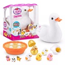 Mama & Baby Surprise-S1 ,Bulk 