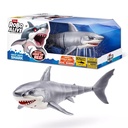 Shark Attack S1, Bulk