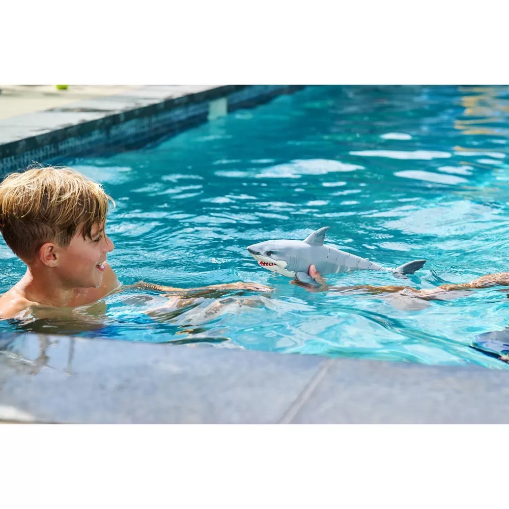 Shark Attack S1, Bulk