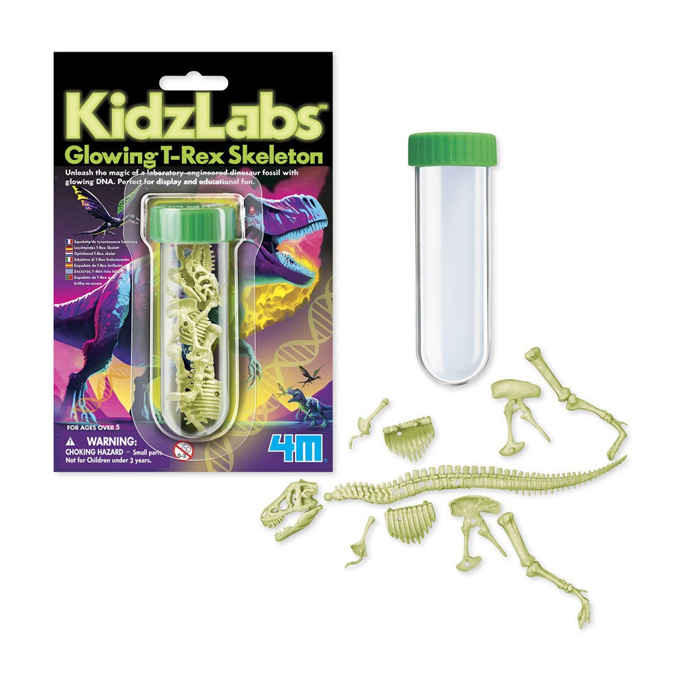 4M Glow T-Rex Skeleton