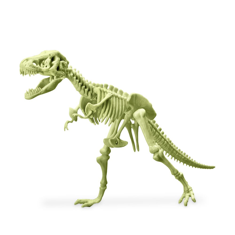 4M Glow T-Rex Skeleton