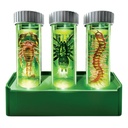 4M Glow Critter Lab